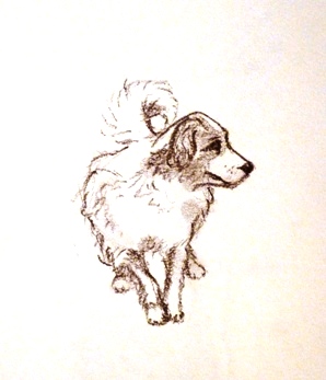 dog at a Palladian villa